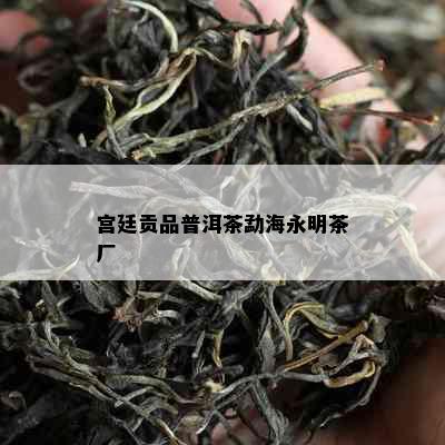 宫廷贡品普洱茶勐海永明茶厂