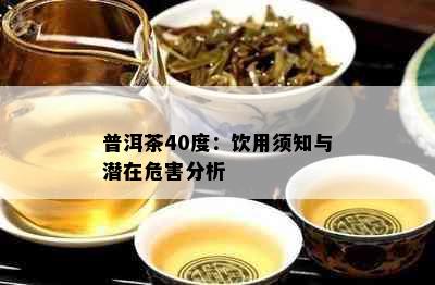 普洱茶40度：饮用须知与潜在危害分析