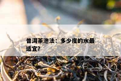 普洱茶泡法：多少度的水最适宜？