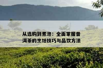 从选购到煮泡：全面掌握普洱茶的烹饪技巧与品饮方法