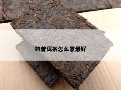 熟普洱茶怎么煮更好