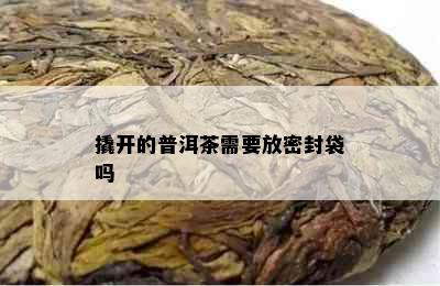 撬开的普洱茶需要放密封袋吗