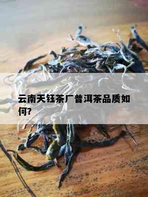 云南天钰茶厂普洱茶品质如何？