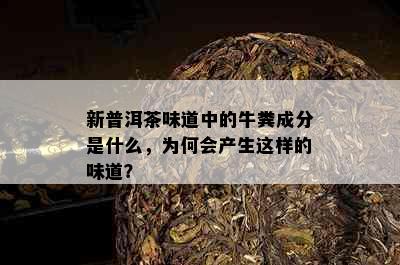 新普洱茶味道中的牛粪成分是什么，为何会产生这样的味道？