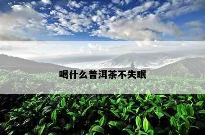 喝什么普洱茶不失眠