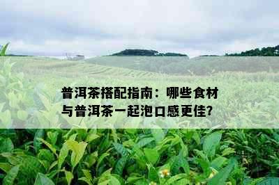 普洱茶搭配指南：哪些食材与普洱茶一起泡口感更佳？