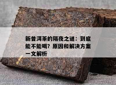 新普洱茶的隔夜之谜：到底能不能喝？原因和解决方案一文解析