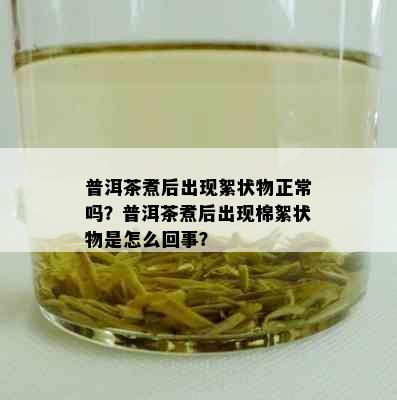 普洱茶煮后出现絮状物正常吗？普洱茶煮后出现棉絮状物是怎么回事？