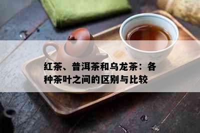 红茶、普洱茶和乌龙茶：各种茶叶之间的区别与比较