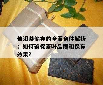 普洱茶储存的全面条件解析：如何确保茶叶品质和保存效果？