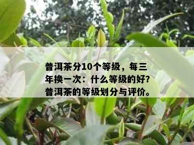 普洱茶分10个等级，每三年换一次：什么等级的好？普洱茶的等级划分与评价。