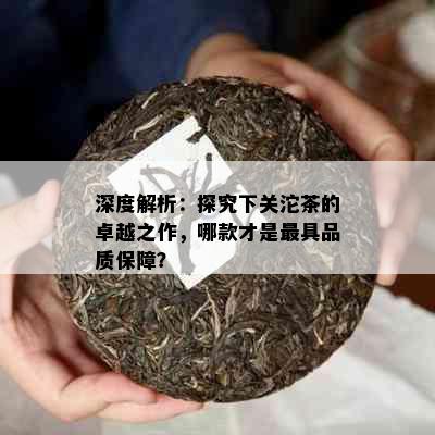 深度解析：探究下关沱茶的卓越之作，哪款才是更具品质保障？