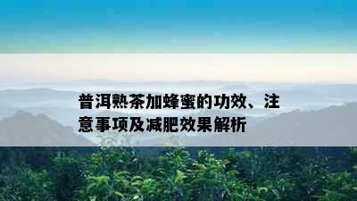 普洱熟茶加蜂蜜的功效、注意事项及减肥效果解析