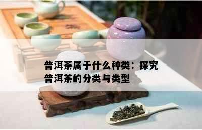 普洱茶属于什么种类：探究普洱茶的分类与类型