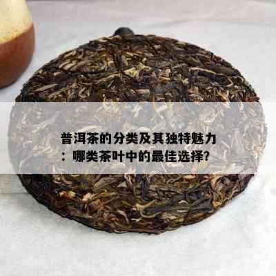 普洱茶的分类及其独特魅力：哪类茶叶中的更佳选择？