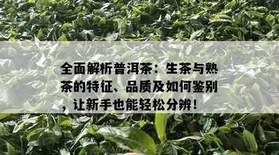 全面解析普洱茶：生茶与熟茶的特征、品质及如何鉴别，让新手也能轻松分辨！