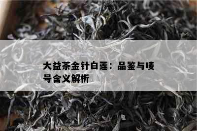 大益茶金针白莲：品鉴与唛号含义解析