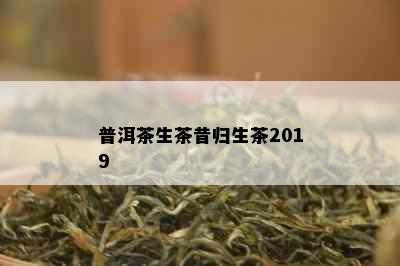 普洱茶生茶昔归生茶2019