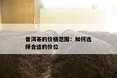 普洱茶的价格范围：如何选择合适的价位