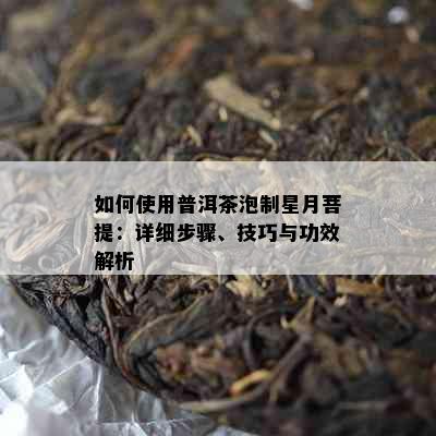 如何使用普洱茶泡制星月菩提：详细步骤、技巧与功效解析