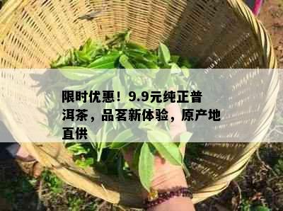 限时优惠！9.9元纯正普洱茶，品茗新体验，原产地直供