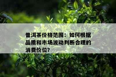 普洱茶价格范围：如何根据品质和市场波动判断合理的消费价位？