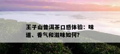 王子山普洱茶口感体验：味道、香气和滋味如何？