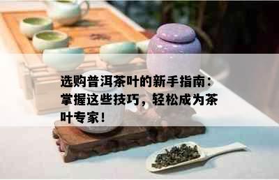 选购普洱茶叶的新手指南：掌握这些技巧，轻松成为茶叶专家！