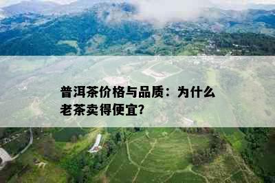 普洱茶价格与品质：为什么老茶卖得便宜？