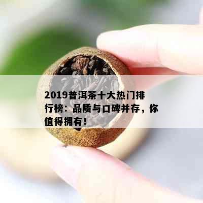 2019普洱茶十大热门排行榜：品质与口碑并存，你值得拥有！