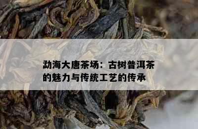 勐海大唐茶场：古树普洱茶的魅力与传统工艺的传承