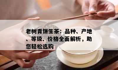 老树青饼生茶：品种、产地、等级、价格全面解析，助您轻松选购