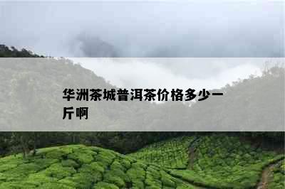 华洲茶城普洱茶价格多少一斤啊