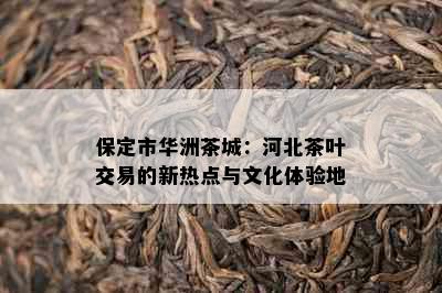 保定市华洲茶城：河北茶叶交易的新热点与文化体验地