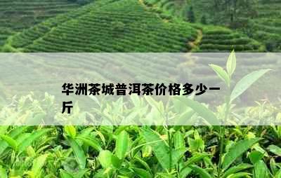 华洲茶城普洱茶价格多少一斤