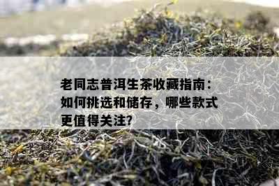 老同志普洱生茶收藏指南：如何挑选和储存，哪些款式更值得关注？