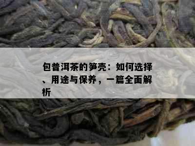 包普洱茶的笋壳：如何选择、用途与保养，一篇全面解析