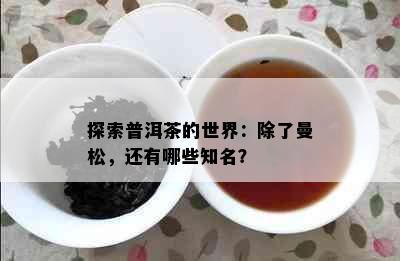 探索普洱茶的世界：除了曼松，还有哪些知名？