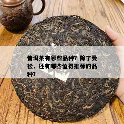 普洱茶有哪些品种？除了曼松，还有哪些值得推荐的品种？