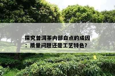 探究普洱茶内部白点的成因：质量问题还是工艺特色？