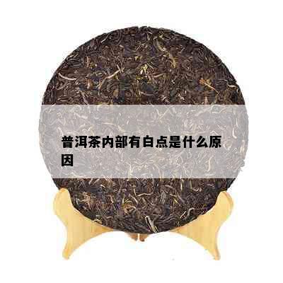 普洱茶内部有白点是什么原因