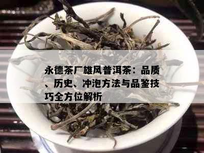 永德茶厂雄风普洱茶：品质、历史、冲泡方法与品鉴技巧全方位解析