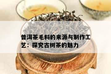 普洱茶毛料的来源与制作工艺：探究古树茶的魅力