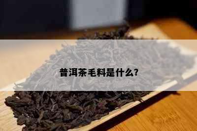 普洱茶毛料是什么？