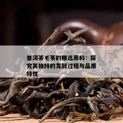 普洱茶毛茶的精选原料：探究其独特的发酵过程与品质特性