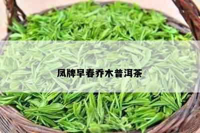 凤牌早春乔木普洱茶