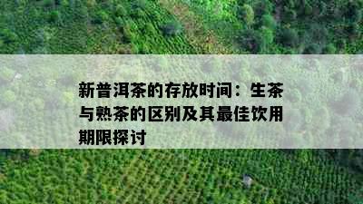 新普洱茶的存放时间：生茶与熟茶的区别及其更佳饮用期限探讨