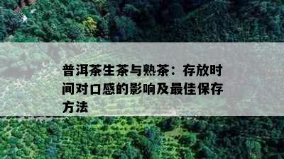 普洱茶生茶与熟茶：存放时间对口感的影响及更佳保存方法