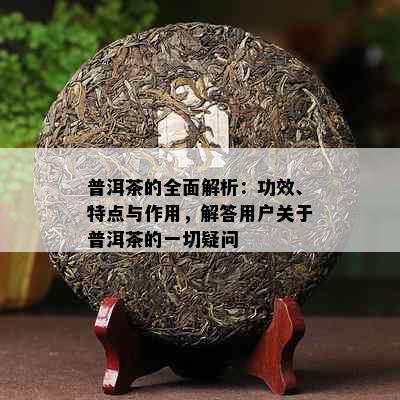 普洱茶的全面解析：功效、特点与作用，解答用户关于普洱茶的一切疑问