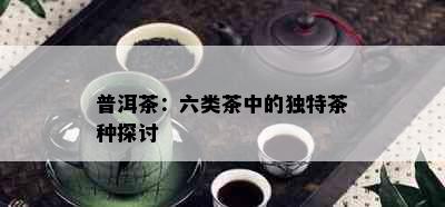 普洱茶：六类茶中的独特茶种探讨